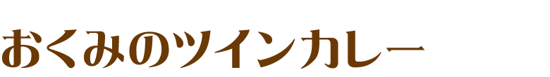 おくみのツインカレー